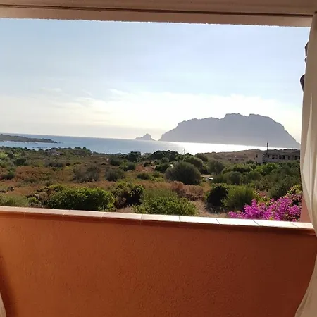 With 3 In Olbia, With Wonderful Sea View And Enclosed شقة أولبيا