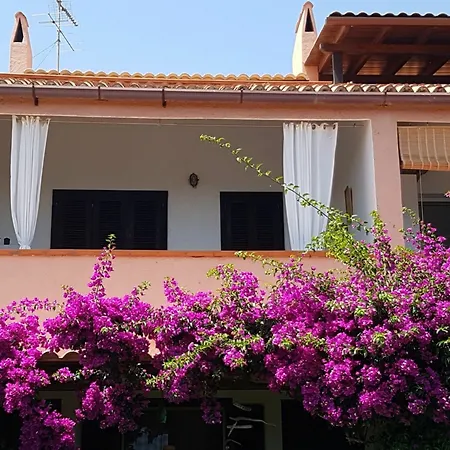 With 3 In Olbia, With Wonderful Sea View And Enclosed شقة أولبيا