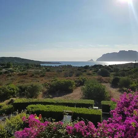 With 3 In Olbia, With Wonderful Sea View And Enclosed *